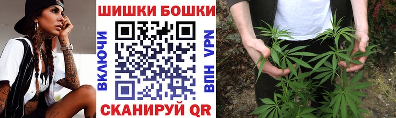 Конопля сатива Пыталово